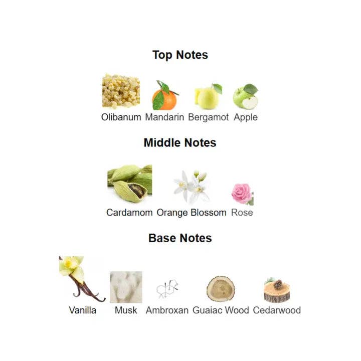 Lattafa Pride Art Of Nature II Eau de Parfum – 100 ml Unisex