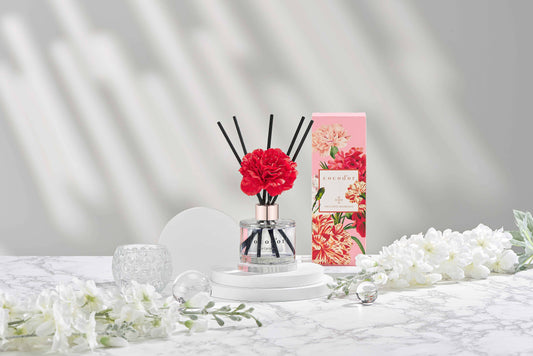 Cocodor Nelken-Diffusor 120 ml  Schwarzkirsche